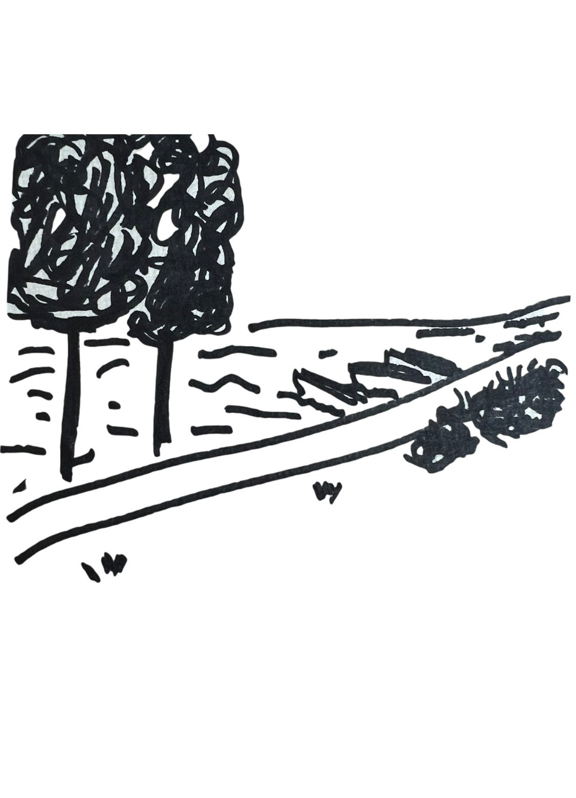 LE chouchou vichy avec illustration
