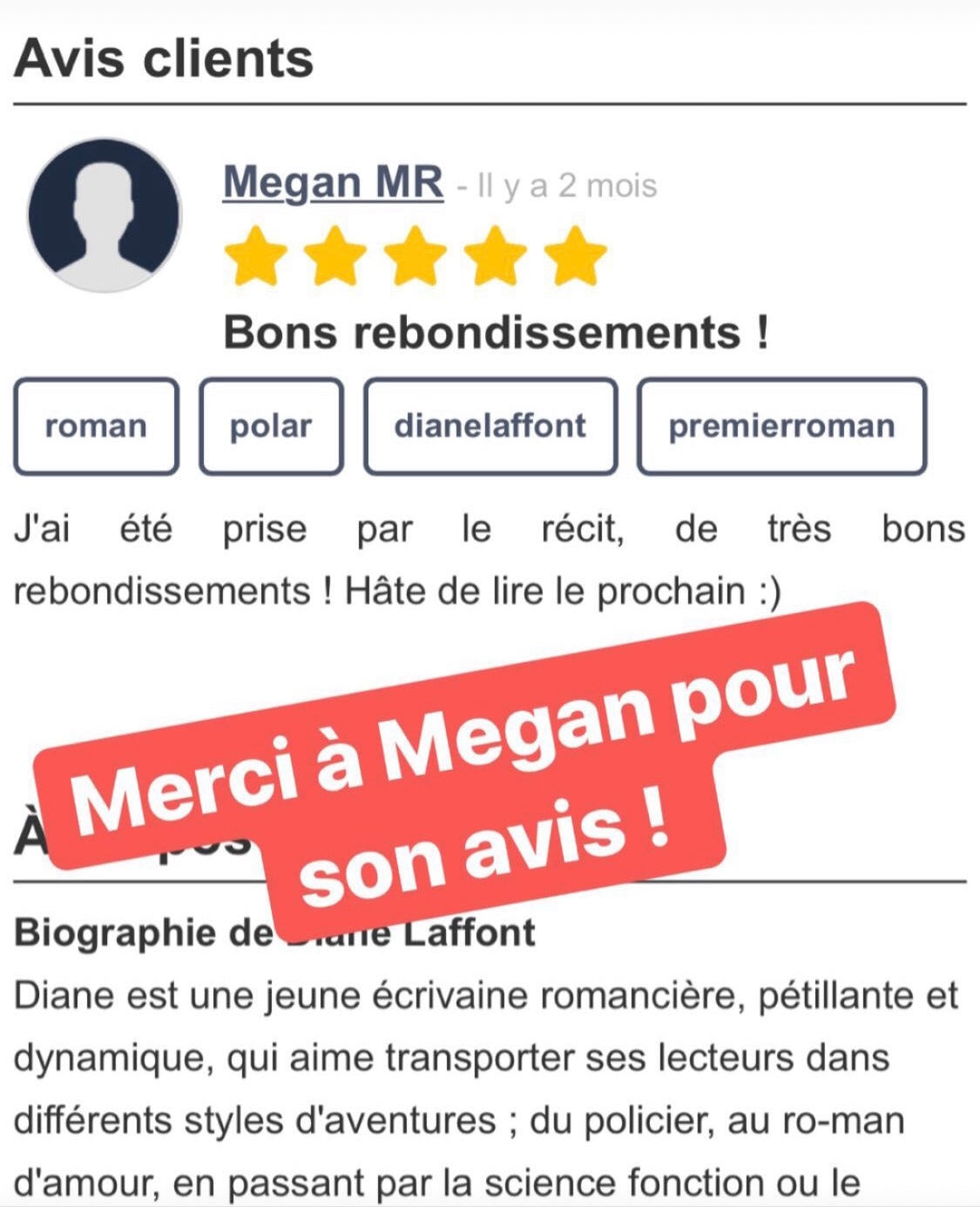 LE PETIT LIVRE POLICIER / THRILLER ÉCRIT PAR LAMANIAK !